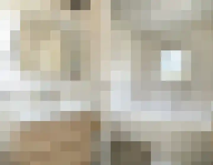 Bleukweg 6 Tilburg thumbnail 20