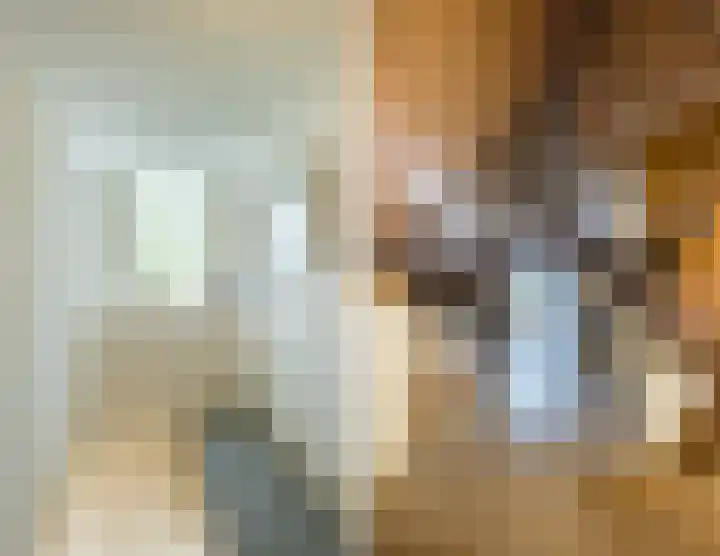 Bleukweg 6 Tilburg thumbnail 27