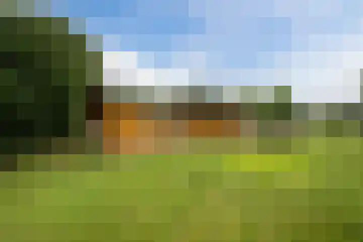 Bleukweg 6 Tilburg thumbnail 31