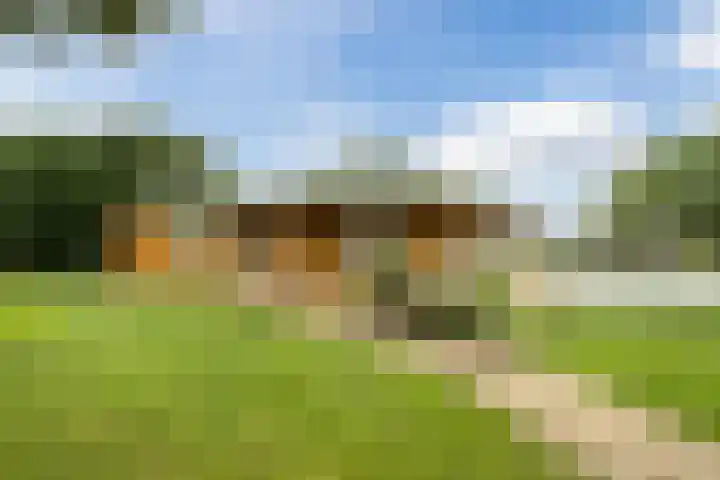 Bleukweg 6 Tilburg thumbnail 32