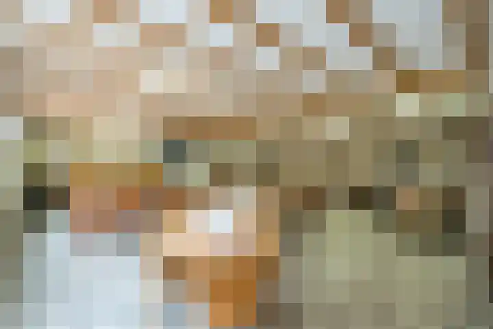 Bleukweg 6 Tilburg thumbnail 38