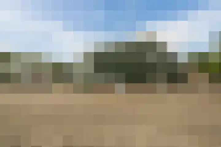 Bleukweg 6 Tilburg thumbnail 51