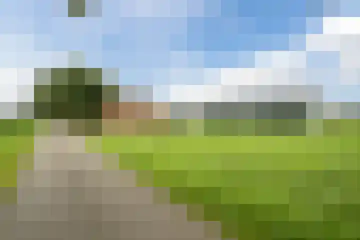 Bleukweg 6 Tilburg thumbnail 58
