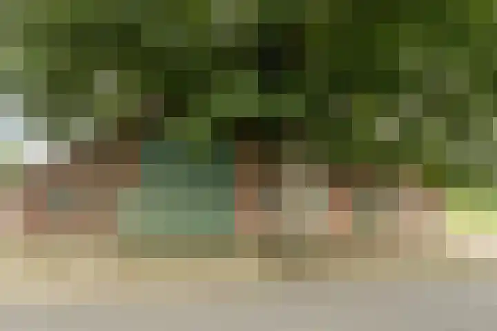 Bleukweg 6 Tilburg thumbnail 65