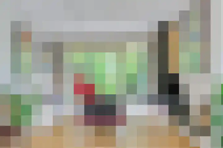 Bleumerweg 6 Castricum thumbnail 10