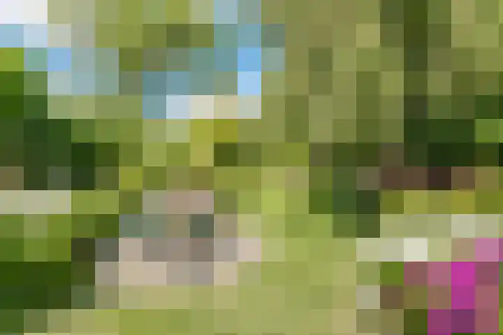 Bleumerweg 6 Castricum thumbnail 4