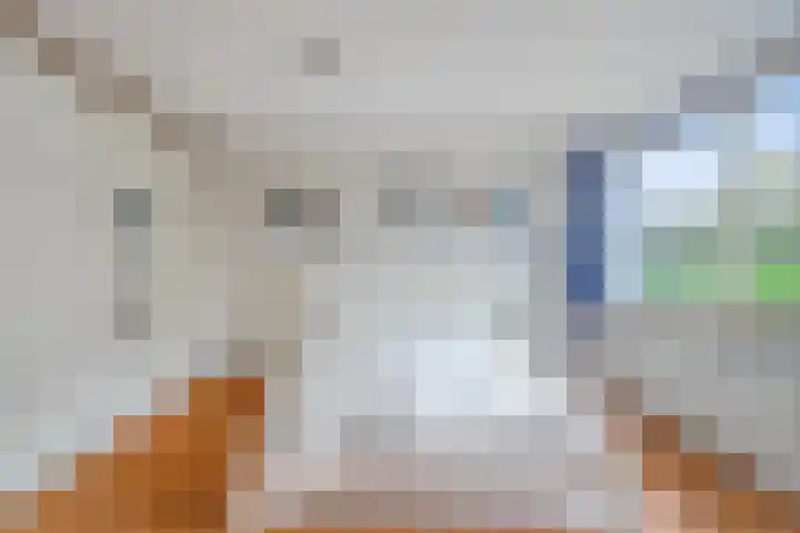 Bleumerweg 6 Castricum thumbnail 41