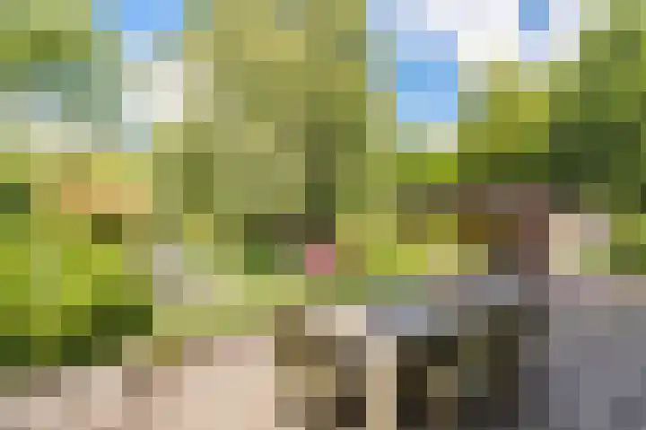 Bleumerweg 6 Castricum thumbnail 53