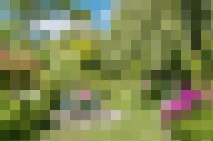 Bleumerweg 6 Castricum thumbnail 54