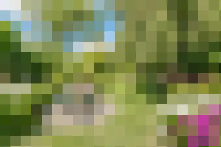 Bleumerweg 6 Castricum thumbnail 56