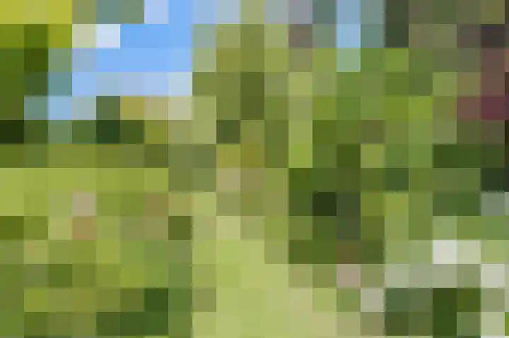 Bleumerweg 6 Castricum thumbnail 57