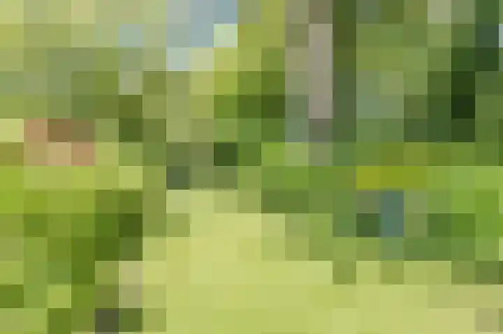 Bleumerweg 6 Castricum thumbnail 61