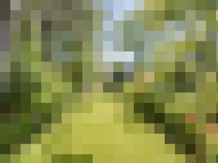Bleumerweg 6 Castricum thumbnail 64