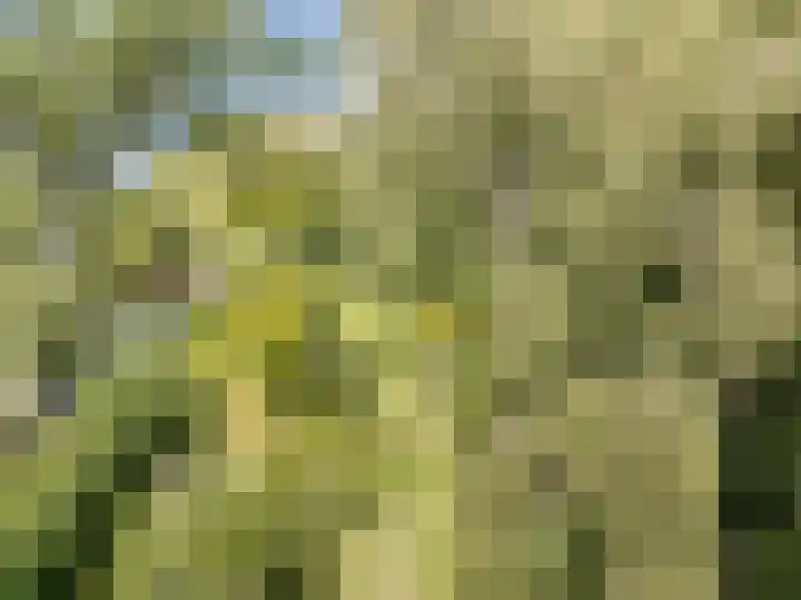 Bleumerweg 6 Castricum thumbnail 66