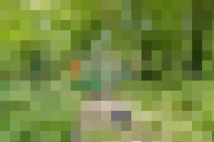 Bleumerweg 6 Castricum thumbnail 67