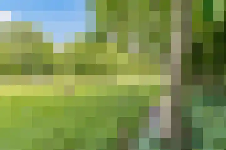 Bleumerweg 6 Castricum thumbnail 68