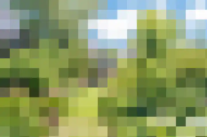 Bleumerweg 6 Castricum thumbnail 70