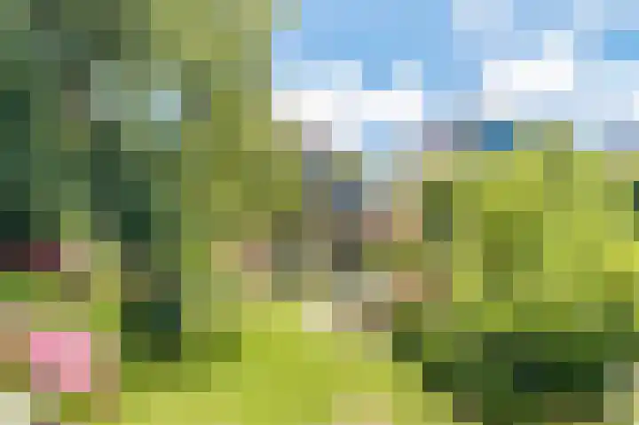 Bleumerweg 6 Castricum thumbnail 71