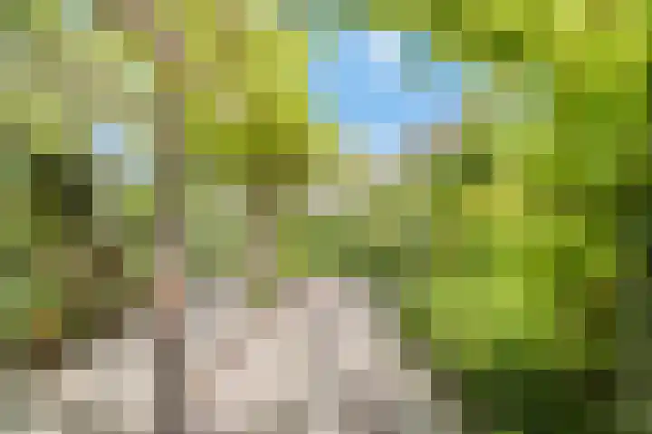 Bleumerweg 6 Castricum thumbnail 77