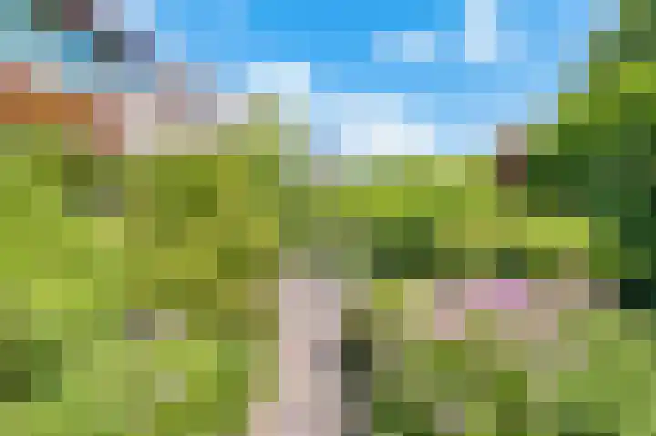 Bleumerweg 6 Castricum thumbnail 78