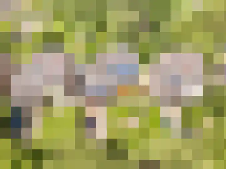 Bleumerweg 6 Castricum thumbnail 85