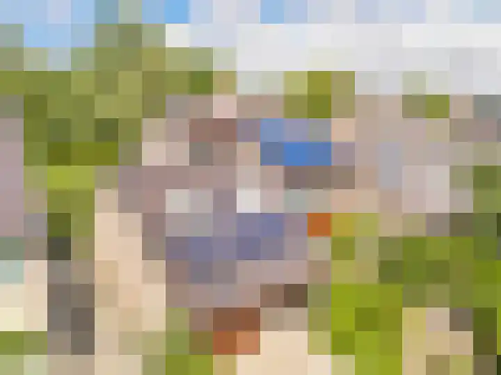 Bleumerweg 6 Castricum thumbnail 88