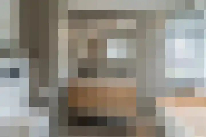 Bleyenbeekdreef 3 Helmond thumbnail 22