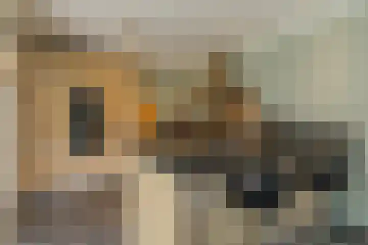 Bleyenbeekdreef 3 Helmond thumbnail 4