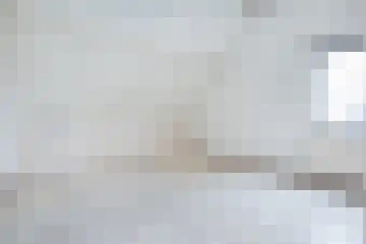 Blienkerd 5 Goedereede thumbnail 24