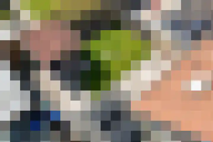 Blienkerd 5 Goedereede thumbnail 29