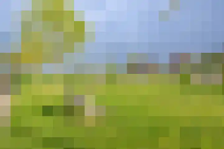 Blienkerd 5 Goedereede thumbnail 30