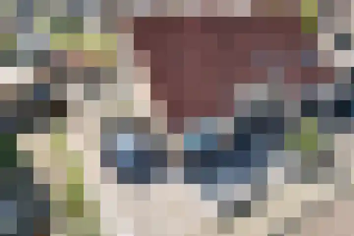 Blienkerd 5 Goedereede thumbnail 33
