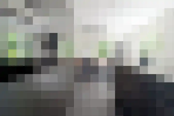 Blikbree 1 Assen thumbnail 20