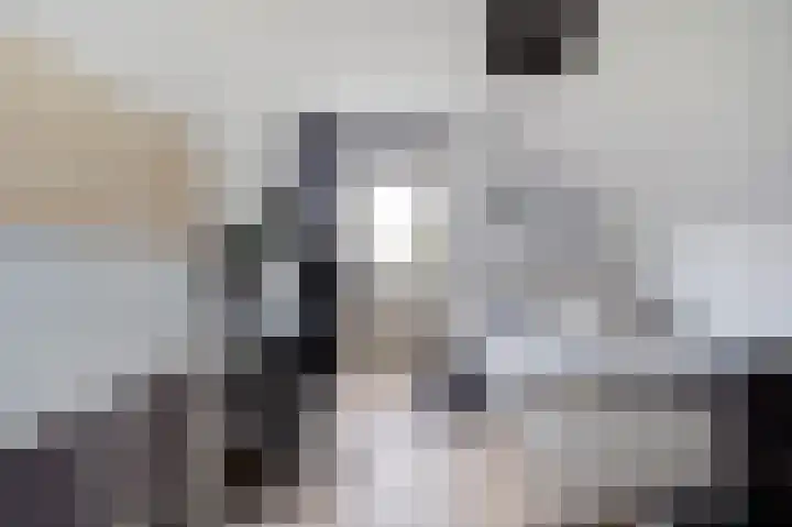 Blikbree 1 Assen thumbnail 35