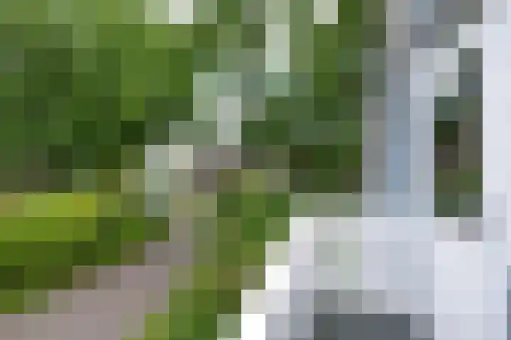 Blikbree 1 Assen thumbnail 37
