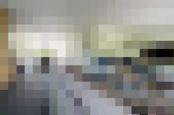 Blikbree 1 Assen thumbnail 4