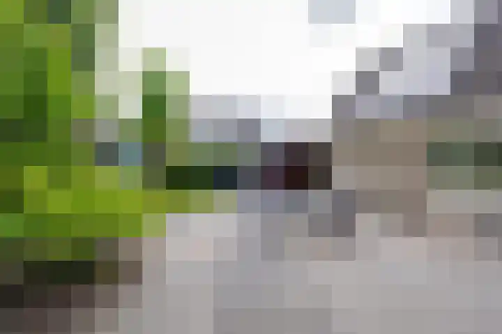 Blikbree 1 Assen thumbnail 49