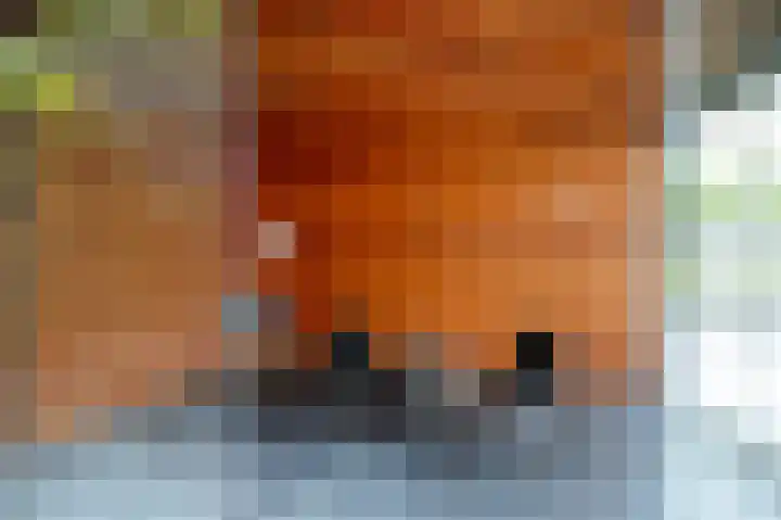 Blikbree 1 Assen thumbnail 51
