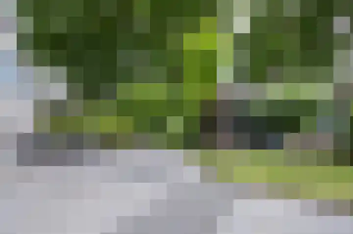 Blikbree 1 Assen thumbnail 52