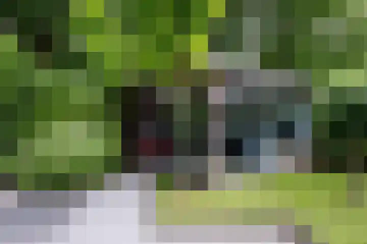 Blikbree 1 Assen thumbnail 53