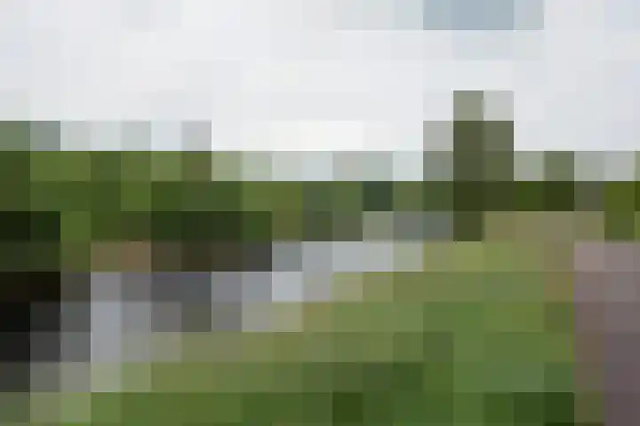Blikbree 1 Assen thumbnail 56