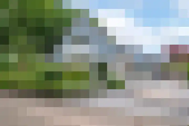Blikbree 1 Assen thumbnail 61