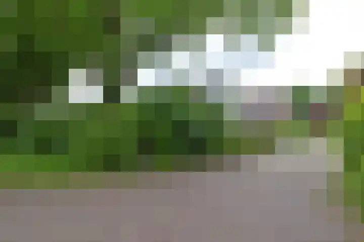 Blikbree 1 Assen thumbnail 63