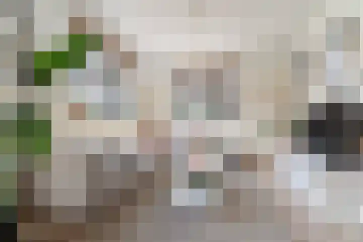 Bliksemschicht 34 Arnhem thumbnail 10