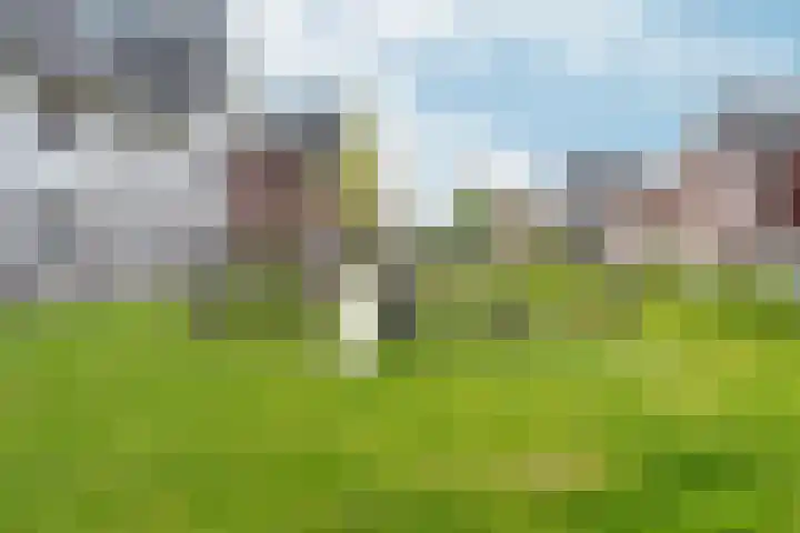 Bliksemschicht 34 Arnhem thumbnail 41