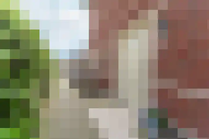 Bliksemschicht 34 Arnhem thumbnail 5