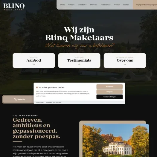 Capture d'écran du site web de blinqmakelaars.nl