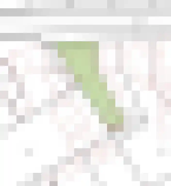 Blockmekerstraat 26 A Made thumbnail 55