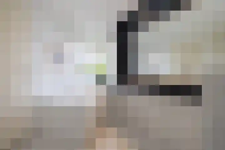 Bloedkoraal 5 Eindhoven thumbnail 20