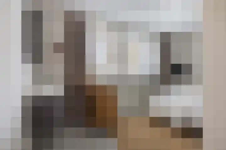 Bloedkoraal 5 Eindhoven thumbnail 23